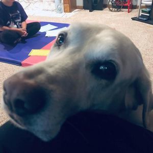 Meet your Posher, Jodi